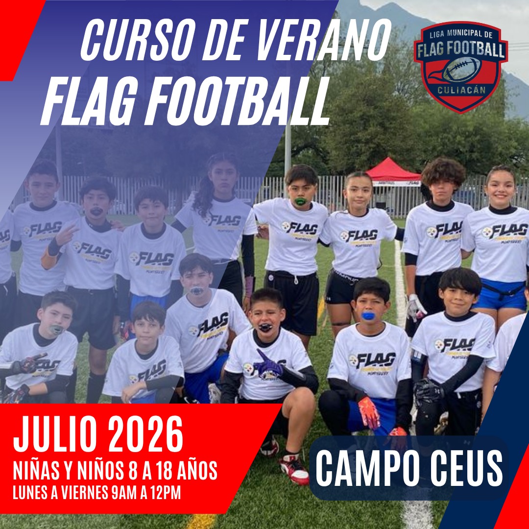 Curso de Verano LIMFAC
